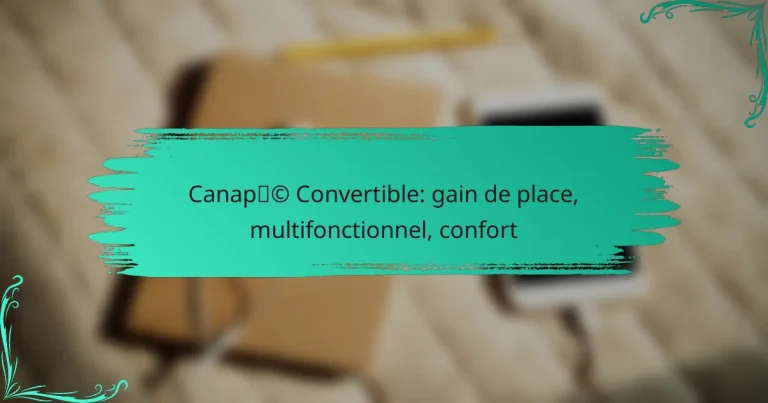 Canapé Convertible: gain de place, multifonctionnel, confort