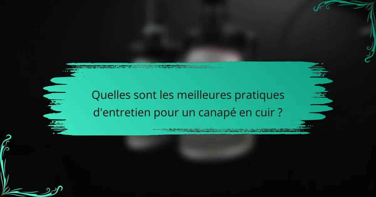 Quelles sont les meilleures pratiques d'entretien pour un canapé en cuir ?