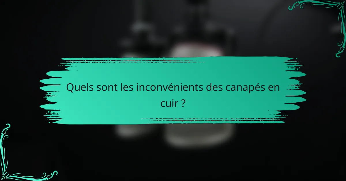 Quels sont les inconvénients des canapés en cuir ?